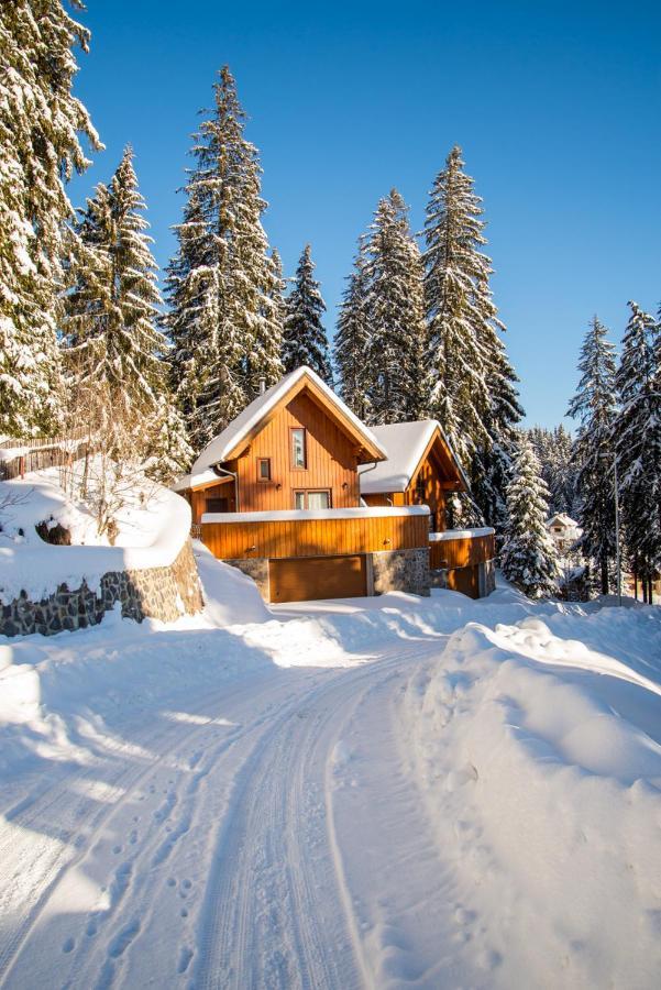 Mandel Csaladi Pihenohaz Villa Harghita-Băi Buitenkant foto